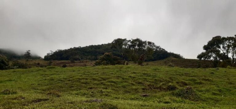 lote en boyaca de 35 hectarias para agro frutos hortaliza legunbres ganado entre muchos usos lov1881611624487891 329